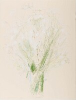 65x50 SabineCorman2018_1031