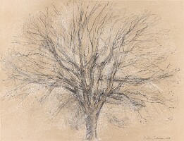 2015  49x64  marouflé sur toile Corman1021_4358