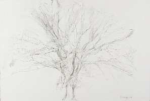 2015  76x112 SabineCorman2018_1089