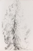 110x70 Corman1021_4336