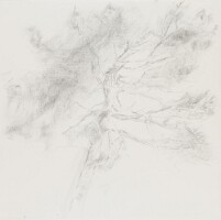 50x50 SabineCorman1124_4381