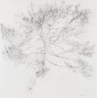 60x60 marouflé sur toile SabineCorman1124_4358