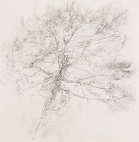 60x60 marouflé sur toile SabineCorman1124_4360 - Copie