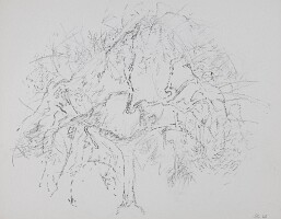 21x27 Honnay0426_5832