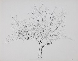 21x27 Honnay0426_5833