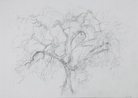 21x28,5 Honnay0426_5826