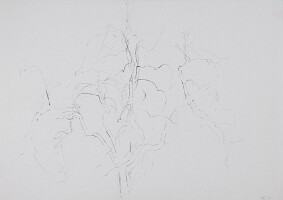21x28,5 Honnay0426_5837