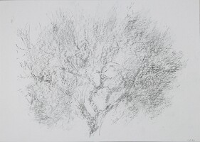 21x29,5 Honnay0426_5827