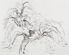 2016-2018 Le pommier - dessins - fusain